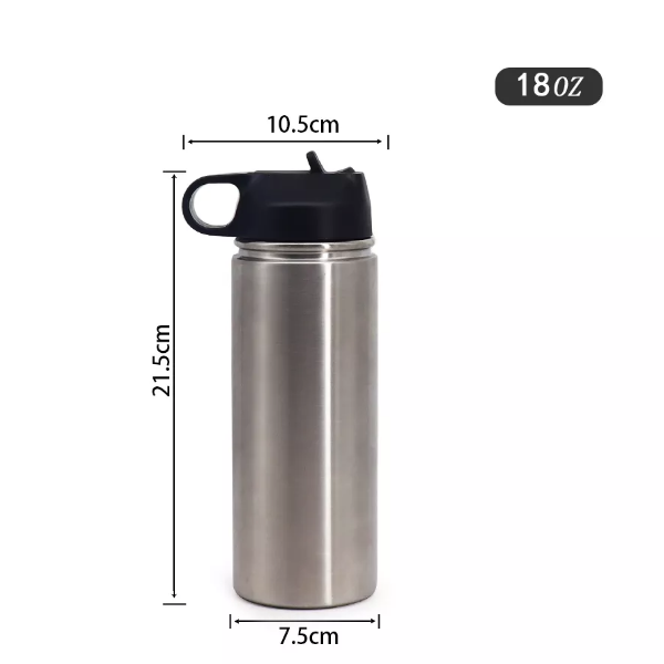 Stainless Steel Sports Water Bottle Bulk,Double Wall Insulated